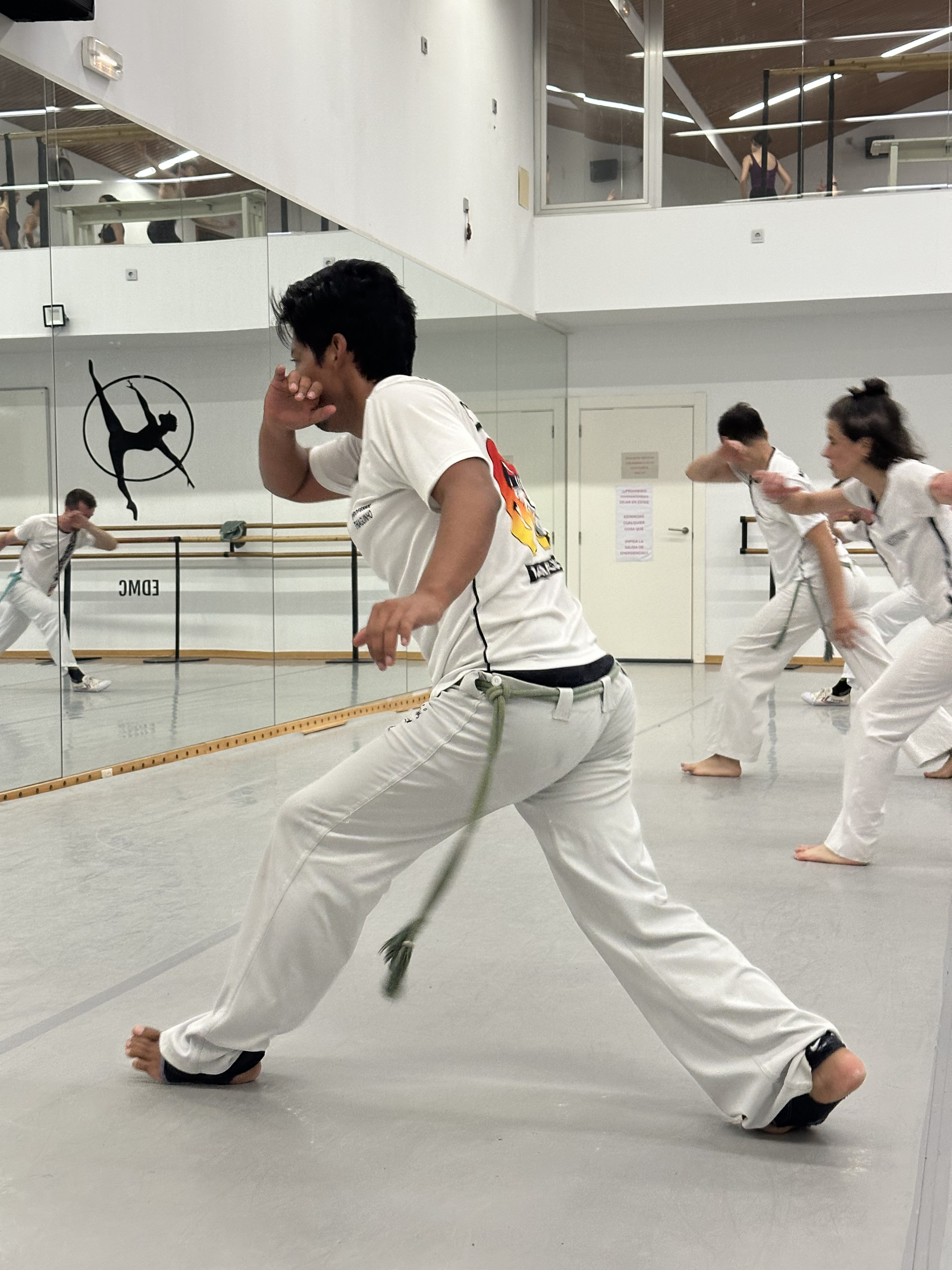 Clases de Capoeira Particulares